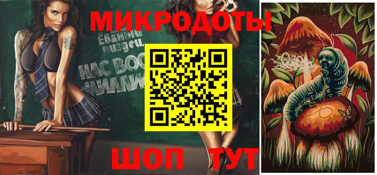 Галлюциногенные грибы Psilocybine cubensis Новокузнецк