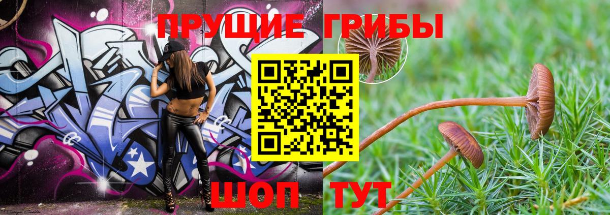 Новокузнецк  где можно купить наркотик  Вход с VPN  Галлюциногенные грибы ЛСД 